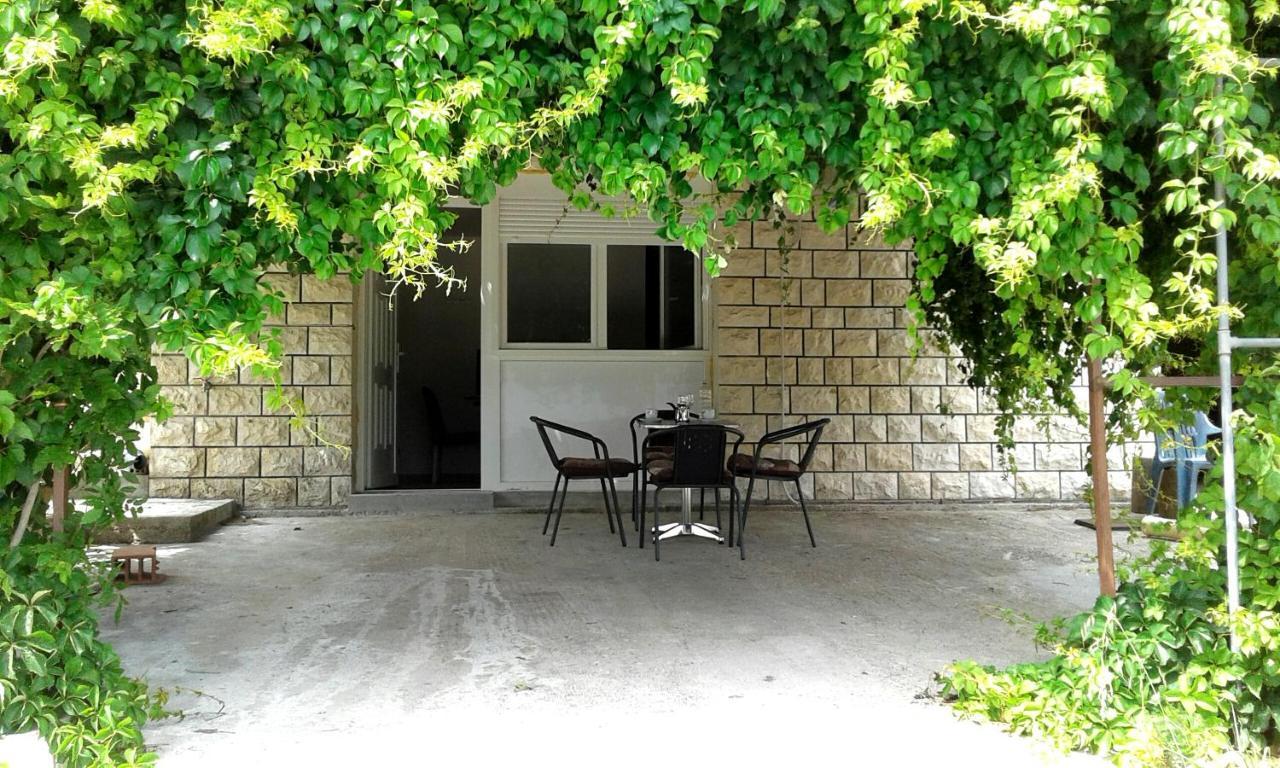 Ruzmarin - Seget Donji,