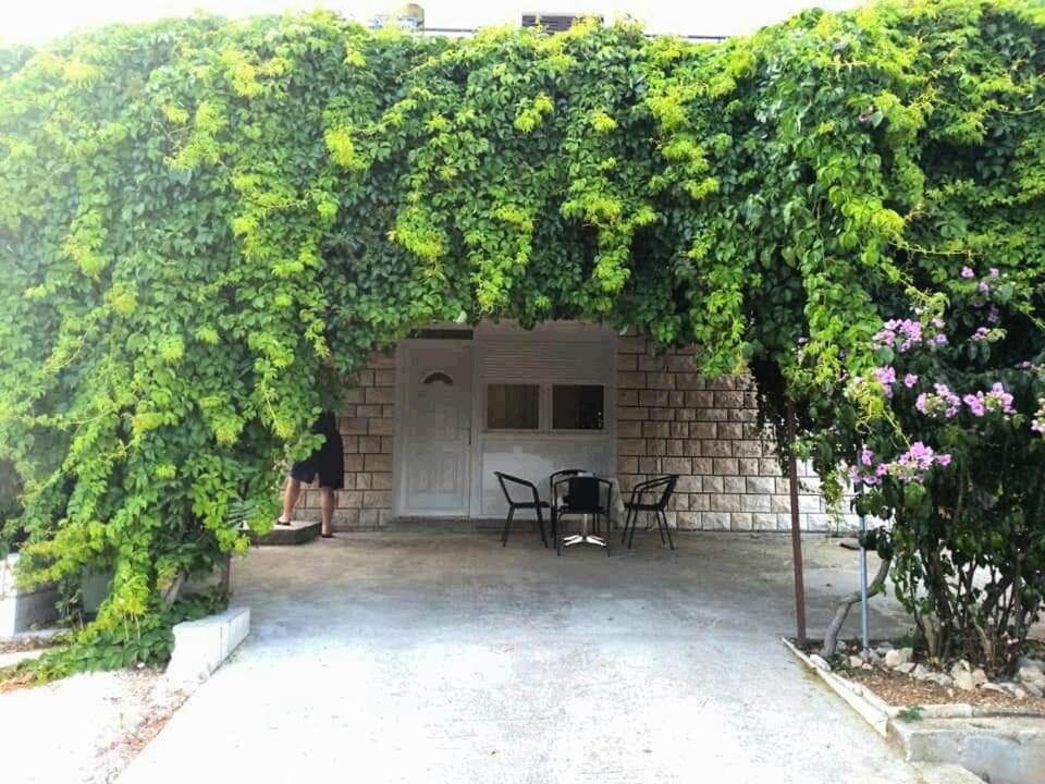 Ruzmarin - Seget Donji, *